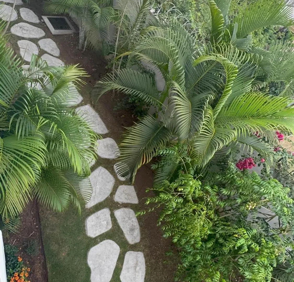 Appartamento City Abode Kingston Jamaica